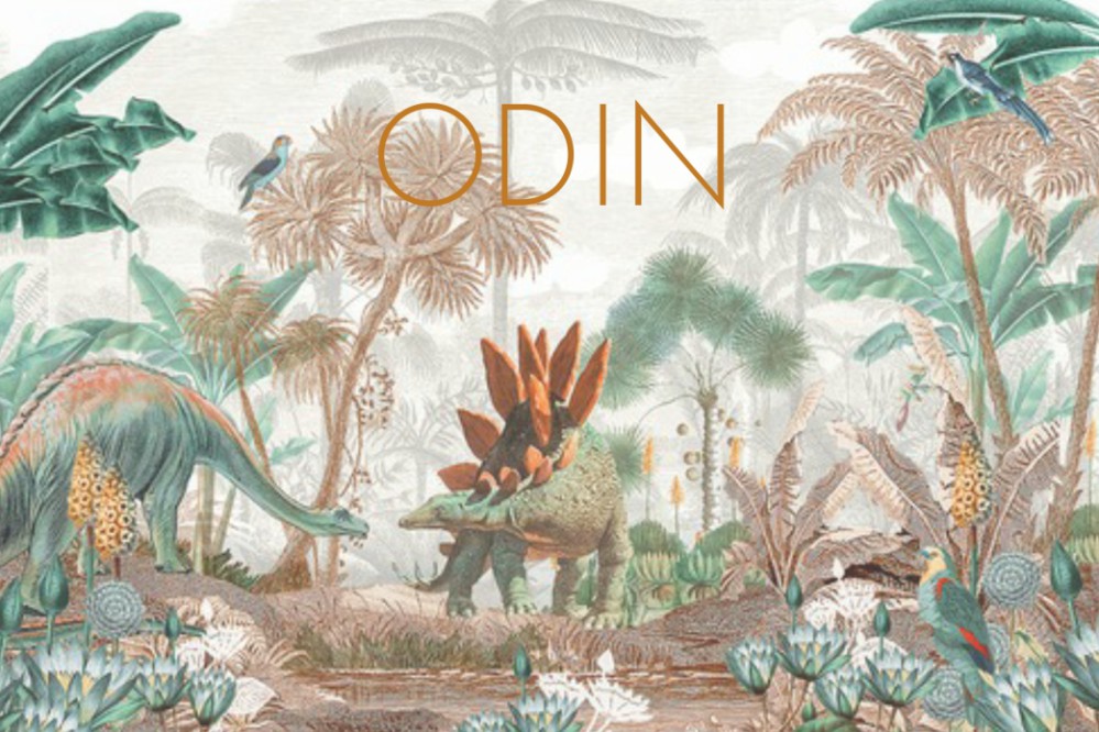 Geboortekaartje jongen of meisje dinosaurus