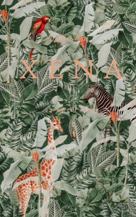 Geboortekaartje tropische jungle in hippe kleurstelling