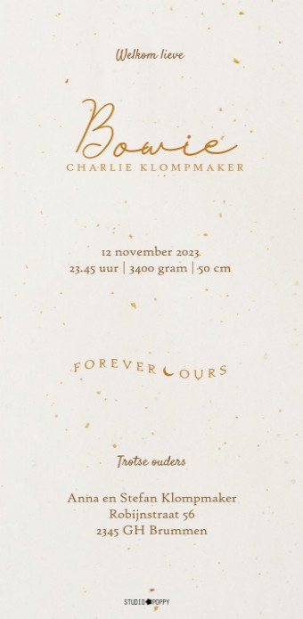 Geboortekaartje jungle botanisch staand model. Jungle geboortekaartje met weelderige planten en jungle dieren is een bijzonder geboortekaartje voor jullie kindje. Illustratief en heel erg hip. Met de online editor kun je zelf aan de slag om hem helemaal u