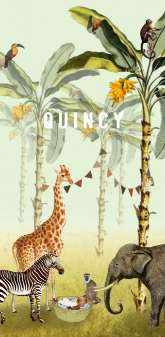 Geboortekaartje jungle met jungle dieren