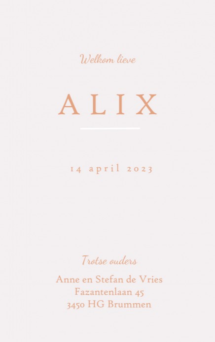 Geboortekaartje jungle in zachte tint voor een bohemian gevoel. Natuurlijke elementen komen veel terug in de geboortekaartjes van Studio POPPY. Maan, sterren, jungle dieren, botanische elementen. Kortom een geboortekaartje volgens de laatste trends. Ontwe