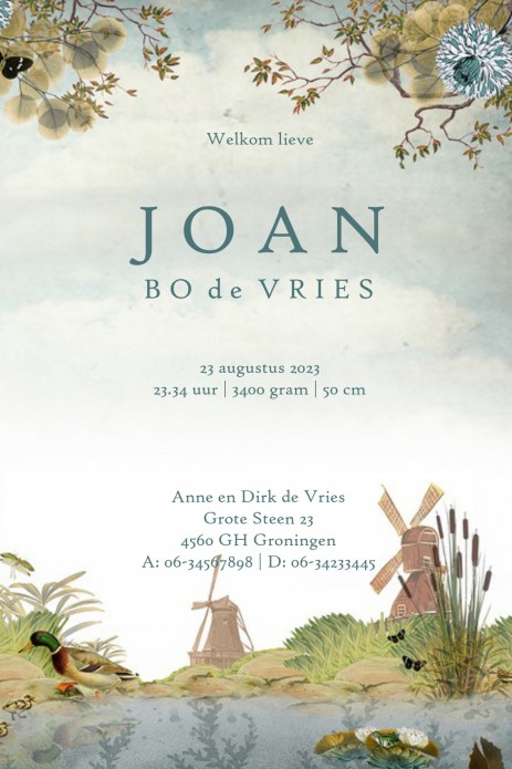 Retro geboortekaartje weiland met sloot en molens. Eenden en vissen zwemmen rond. Nostalgische verhaaltjes om jullie kindje aan te kondigen. Lief geboortekaartje met vintage vleugje dat toch ook tijdloos is. Maak eens een proefkaart en gebruik de beeldban
