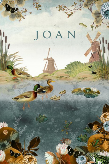 Geboortekaartje weiland met slootje en molens