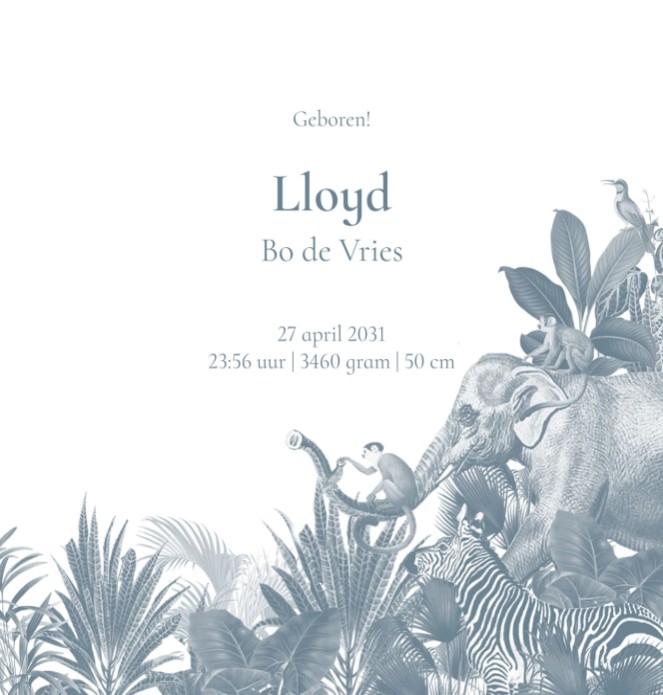 Geboortekaartje jungle in blauwe tint met giraffe, zebra en olifant. Een klassieke, neutrale en rustige geboortekaart maar ook illustratief. Ingetogen geboortekaartje in het blauw met dieren en planten.