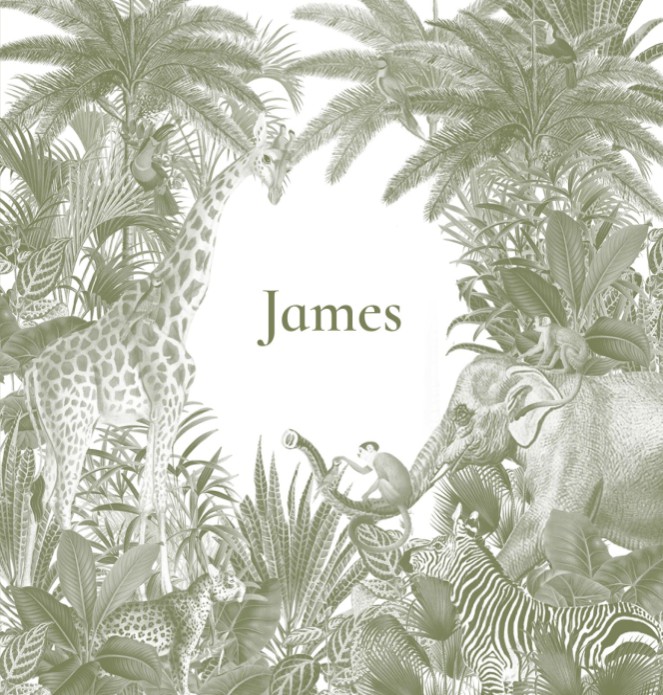 Geboortekaartje jungle in monotoon groen