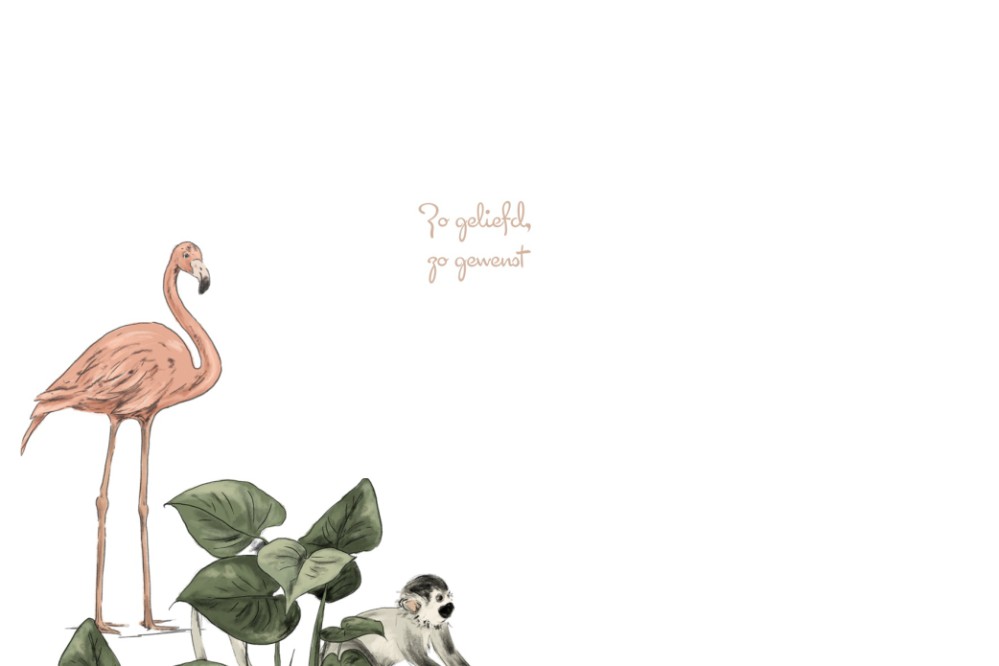 kaart binnenzijde links