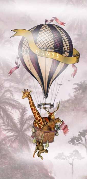 Geboortekaartje luchtballon over de jungle