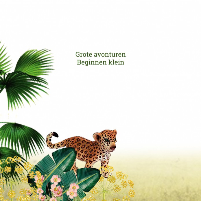 kaart binnenzijde links