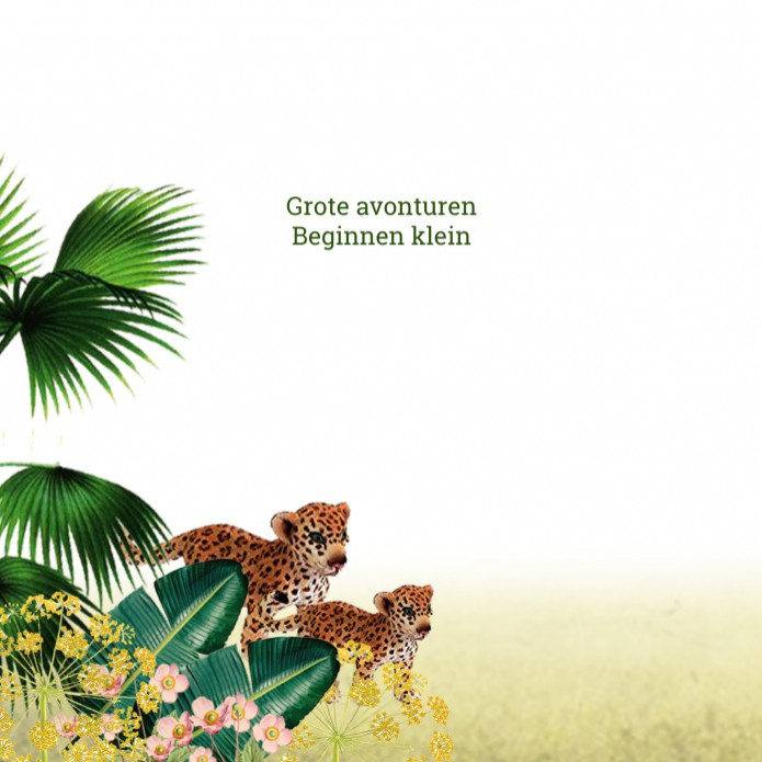 kaart binnenzijde links