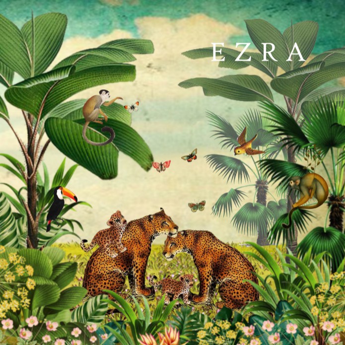 Geboortekaartje jungle luipaard familie