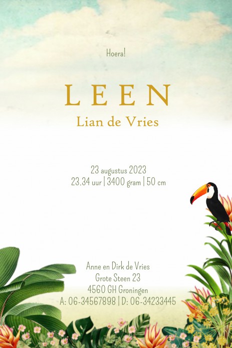 Geboortekaartje foliedruk jungle dieren De vintage look heeft een nostalgisch karakter en is tijdloos. Retro vintage geboortekaartjes zijn zelf te bewerken en je mag gratis een proefdruk laten maken. Laat ons jou helpen het unieke geboortekaartje te vinde