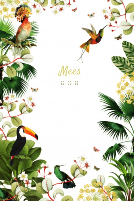 Geboortekaartje jungle met kolibrie en toekan jongen