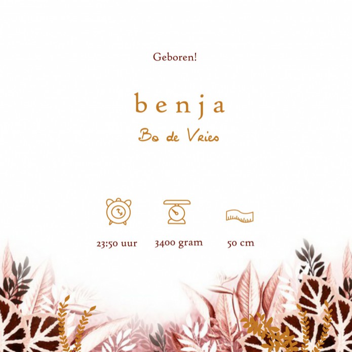 Geboortekaartje jungle panter. Onze bohemian geboortekaartjes zijn uitbundig, veel panter, natuur, prints, sterren en andere luchtelementen. Maar wel in stijl, de kleuren zijn zorgvuldig gekozen en goed op elkaar afgestemd. Vraag een gratis proefkaart aan