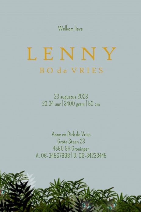 Geboortekaartje jungle nacht sterren in folie voor een bijzondere aankondiging van jullie kleintje. Maak jouw eigen geboortekaartje zoals niemand hem heeft, volledig in jullie eigen stijl. Vraag eens een gratis proefkaartje aan om jouw geboortekaartje maa