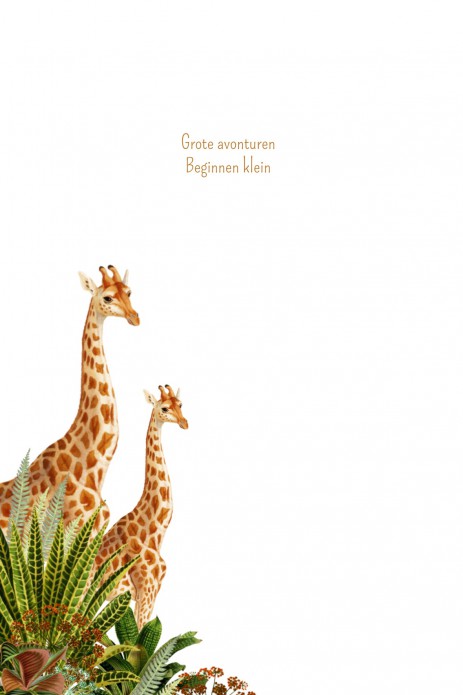 kaart binnenzijde links