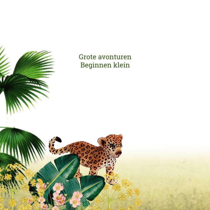 kaart binnenzijde links