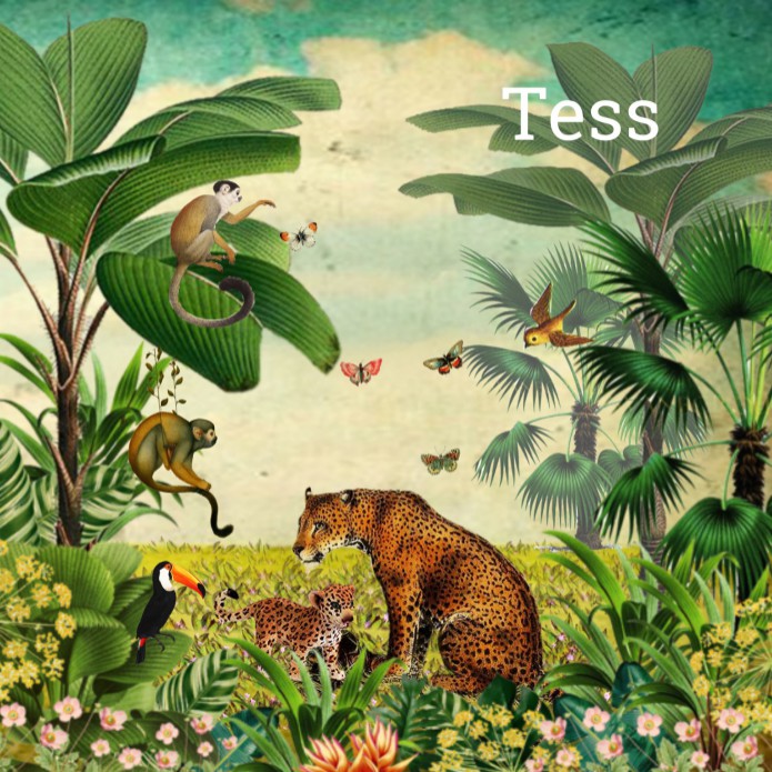 Geboortekaartje jungle luipaard meisje