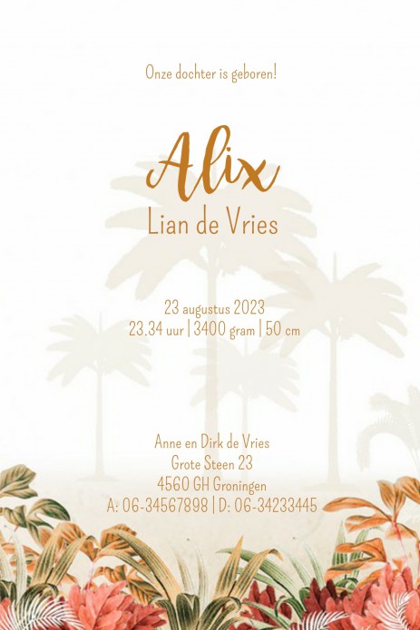 kaart binnenzijde rechts