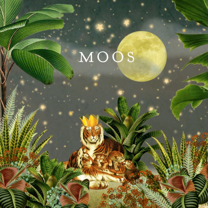 Geboortekaartje jungle tijger met drie welpjes