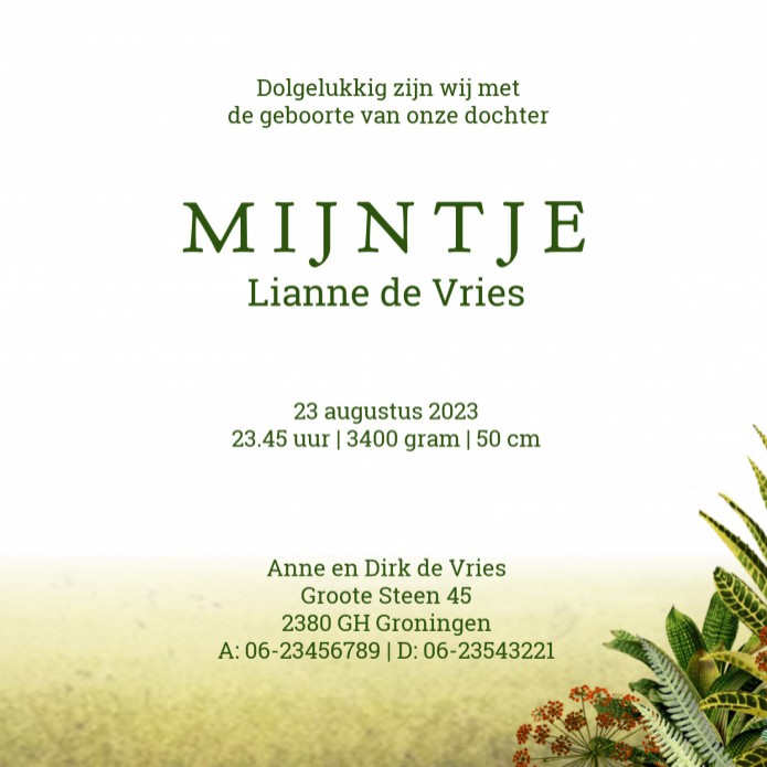 kaart binnenzijde rechts