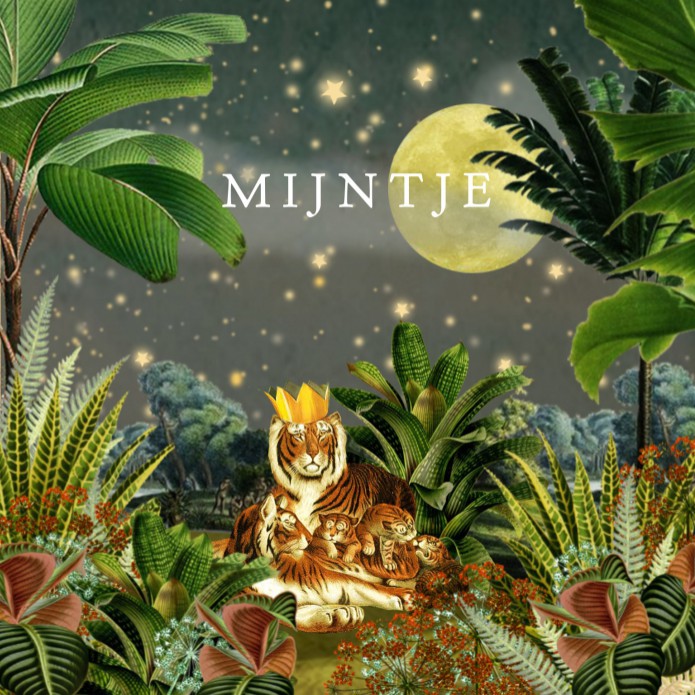 Geboortekaartje jungle tijger sterren met drie welpjes