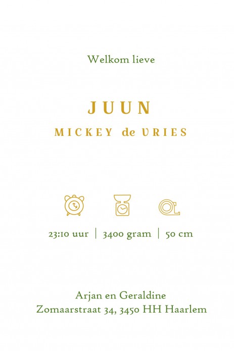 Geboortekaartje tropisch jungle is een heel bijzonder geboortekaartje. Hiervan zie je niet zo snel een tweede. Alle jungle dieren zijn vertegenwoordigd, de giraffe, papegaai, zebra, panter en toekan. Dit vintage kaartje gaat helemaal met de laatste trends