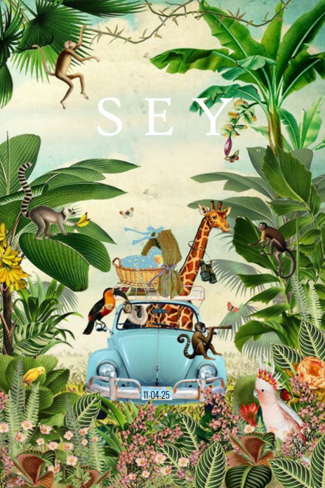 Geboortekaartje jungle met Volkswagen en wiegje er op
