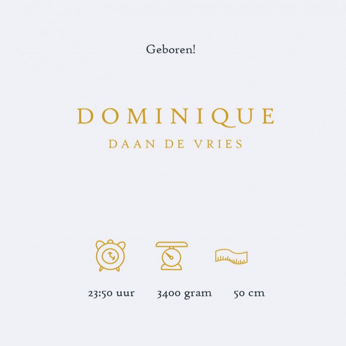 Geboortekaartje delfts blauw met wereldbol in jungle thema. De giraffe, palmboom en panter zijn allemaal te zien en geeft een exotisch geheel. Het kaartje wordt met grootste vakmanschap voor jullie gedrukt en meestal heb je het in 1 dag in huis.