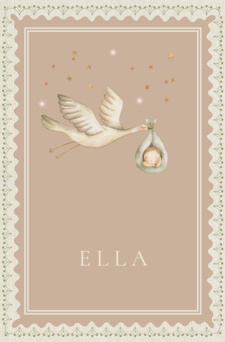 Geboortekaartje decoratief kader met ooievaar en baby