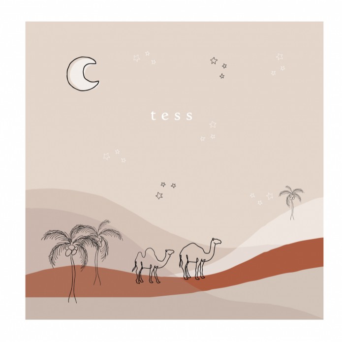 Geboortekaartje kamelen in de bergen