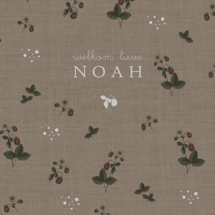 Geboortekaartje klassiek met folie en aardbeien patroon