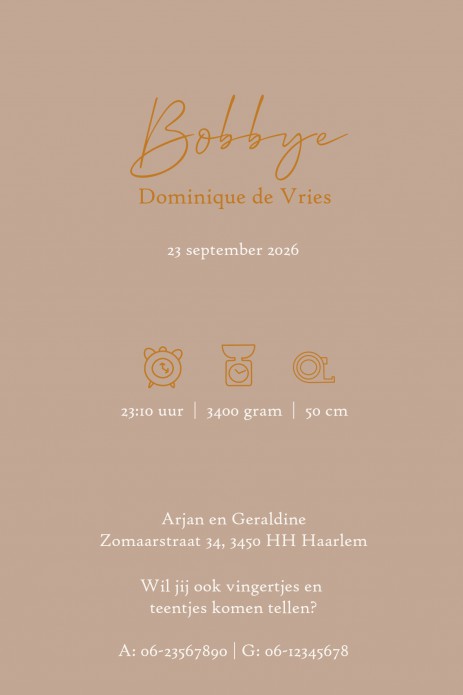 Geboortekaartje klassiek met monogram in warme kleuren. Prachtig accent met goudfolie op kwalitatief hoogwaardig papier. Een tijdloos geboortekaartje dat prachtig van kleur is. Vraag eens een proefkaart aan en kies wat het beste bij jullie past.