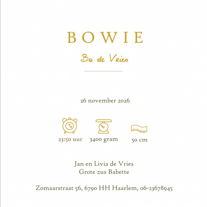 Geboortekaartje met botanische takjes in warme kleuren met folie. Het kaartje is ook zonder folie te drukken. Mooi tijdloos geboortekaartje, klassiek, maar met een twist. Vraag eens een proefkaart aan om jullie kaartje alvast in het echt te kunnen bewonde