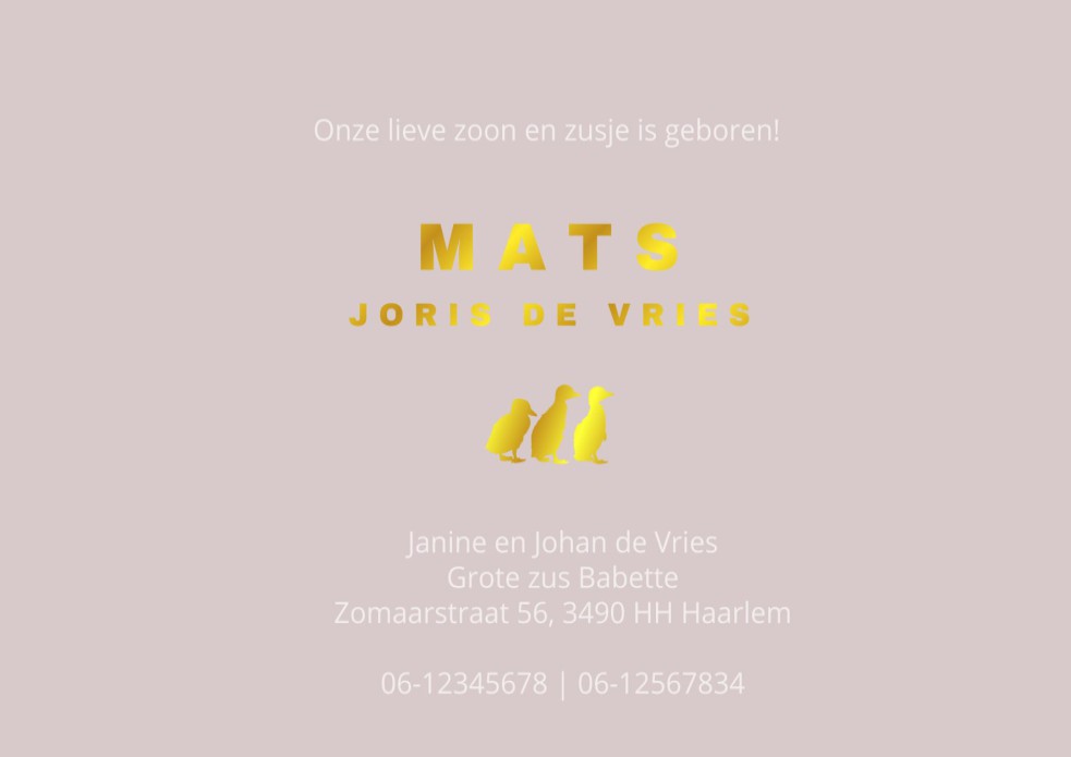 Zo origineel, een geboortekaartje met een kleurverloop en ronde hoeken. Het kaartje is helemaal af te maken met folie maar is natuurlijk niet noodzakelijk. Het geboortekaartje is bijzonder van zichzelf. Met de editor kun je zelf het kaartje naar jouw zin 