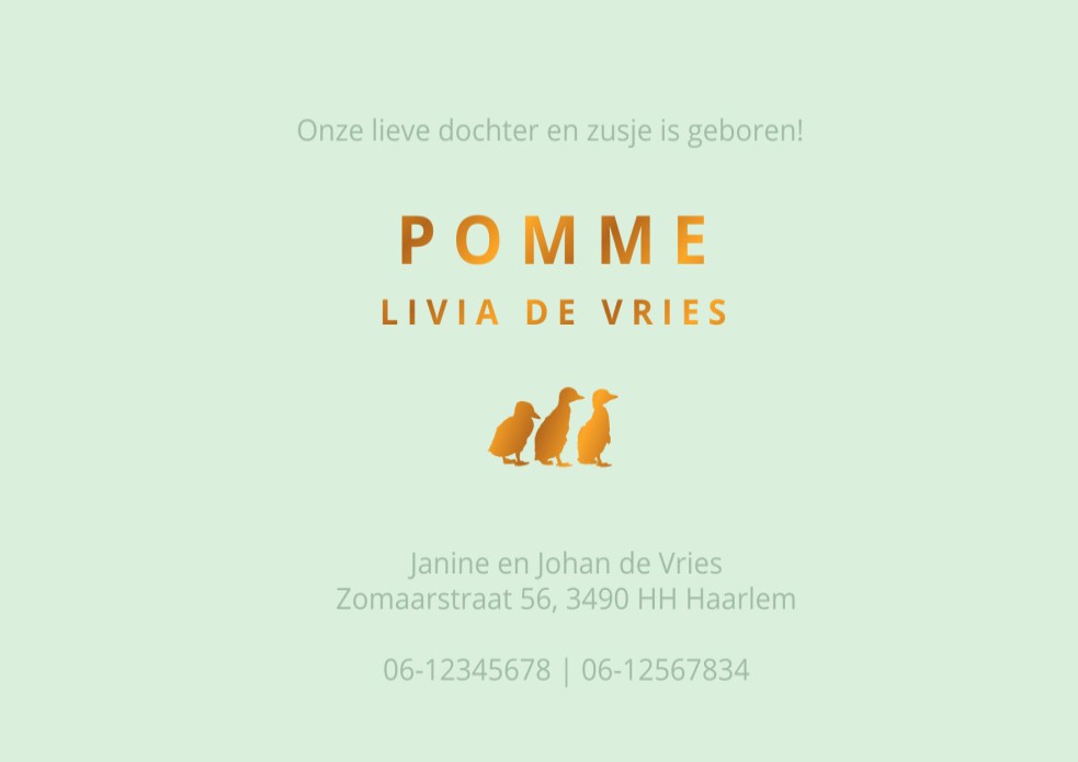 Een heel stijlvol geboortekaartje met naam in goudfolie en leuk eendje. Holografisch kleurverloop met een accent folie is een prachtige combinatie voor een color blocking geboortekaartje.