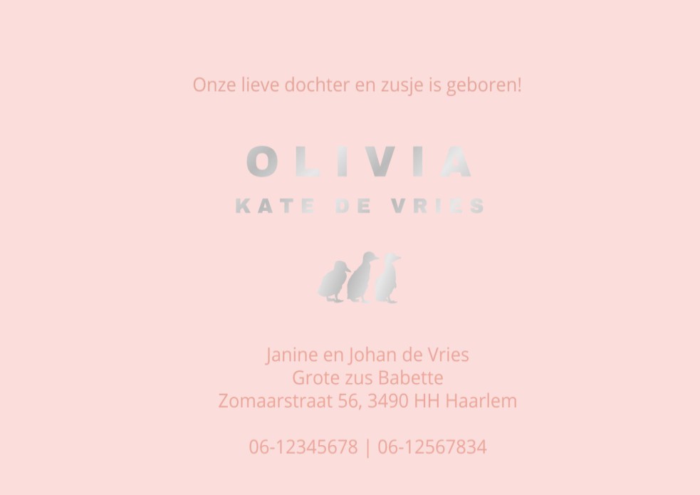 Geboortekaartje met kleurverloop in prachtige kleuren. Met folie is het kaartje helemaal af!