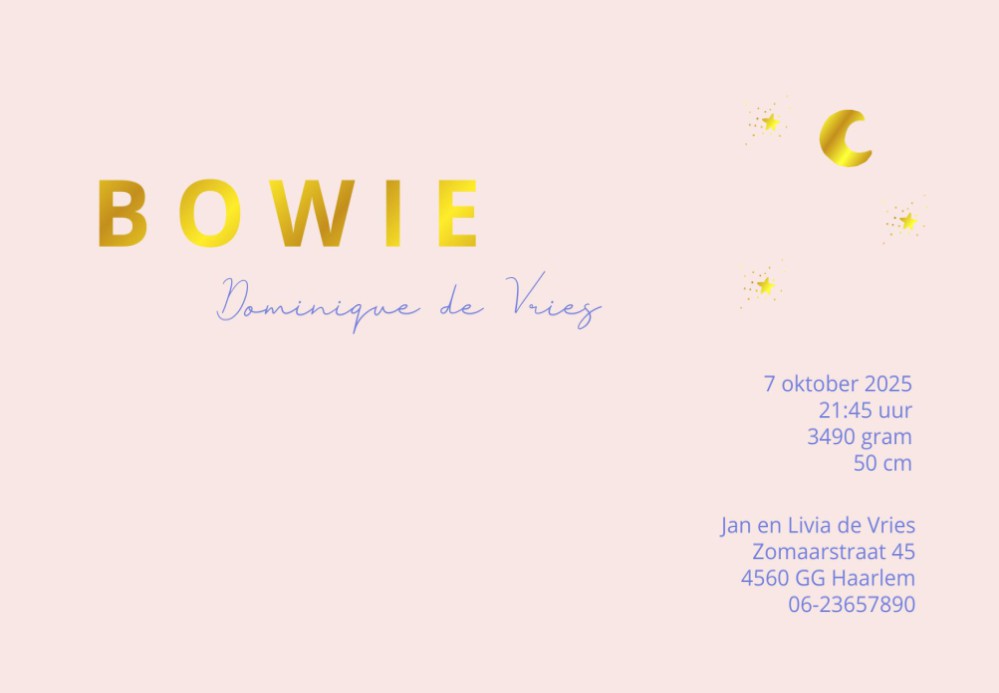 Zo origineel, een geboortekaartje met een kleurverloop en ronde hoeken. Het kaartje is helemaal af te maken met folie maar is natuurlijk niet noodzakelijk. Het geboortekaartje is bijzonder van zichzelf. Met de editor kun je zelf het kaartje naar jouw zin 