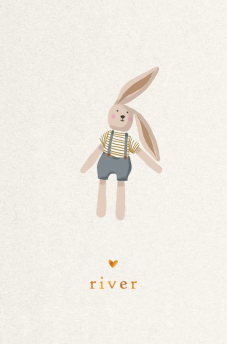 Een heel stijlvol geboortekaartje met illustratie van konijntje in hippe kleuren. Minimalistisch en toch ook illustratief geboortekaartje. Bestel eens een gratis proefdruk.