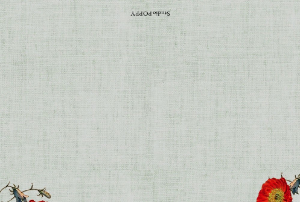 Geboortekaartje met konijnen in het poppy veld. De bloemen staan weelderig in de tuin en het is een echt illustratief geboortekaartje met konijnen.