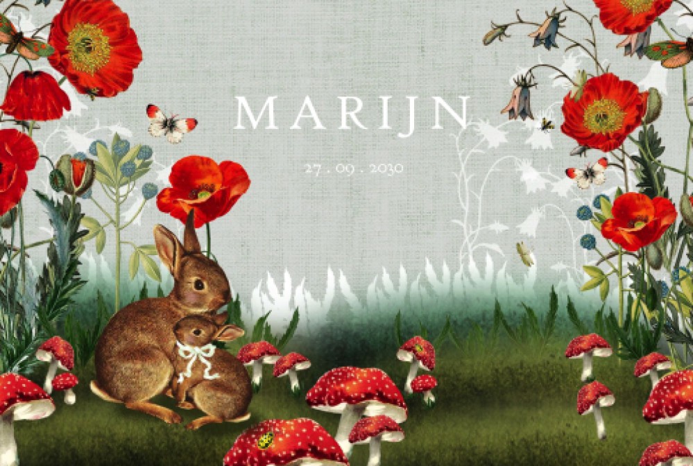 Geboortekaartje met konijnen in het poppy veld. De bloemen staan weelderig in de tuin en het is een echt illustratief geboortekaartje met konijnen.