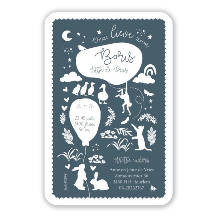 Een prachtig speels geboortekaartje in 2 kleuren met konijntjes, katten, vlinders en nog veel meer dieren. De tekst is er speels tussen geplaatst. De wolkjes en sterren zijn er illustratief aan toegevoegd en er een ontstaat een grappige collage van figuur