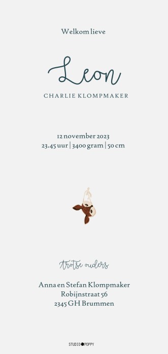 Geboortekaartje met handgetekende leeuw. Het lijkt op een knuffelleeuw maar is vooral hip en trendy als illustratie voor op jullie geboortekaartje. Vele verschillende ontwerpen beschikbaar op allerlei formaten en papiersoorten.