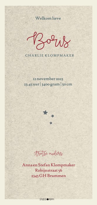 Geboortekaartje met handgetekende superman leeuw. Het lijkt op een knuffelleeuw maar is vooral hip en trendy als illustratie voor op jullie geboortekaartje. Vele verschillende ontwerpen beschikbaar op allerlei formaten en papiersoorten.