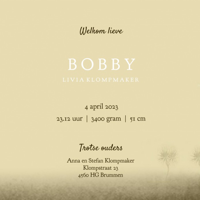 kaart binnenzijde rechts