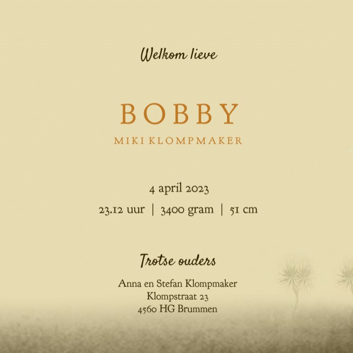 Prachtige botanisch geboortekaartje met leeuwen en watercolour details. Het kaartje is met en zonder foliedruk te bestellen. Een uniek geboortekaartje waar je zelf als ontwerper mee aan de slag kan. Je creëert een geboortekaartje die niemand anders heeft.