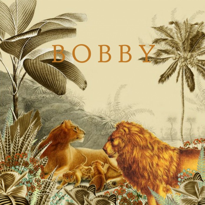 Geboortekaartje leeuwen familie savanne