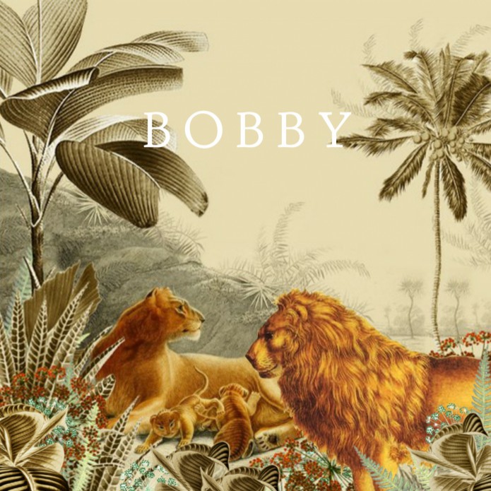 Geboortekaartje leeuwen familie savanne