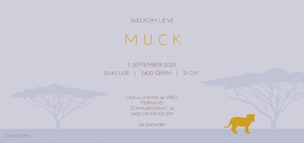 Foliedruk geboortekaartjes leeuwen gezin zijn niet meer weg te denken. Ze geven jullie bijzondere geboortekaartje een chique uitstraling en eentje om voor altijd te bewaren. Bepaal zelf wat in foliedruk wil hebben, wij helpen je! Vraag de proefdruk aan.