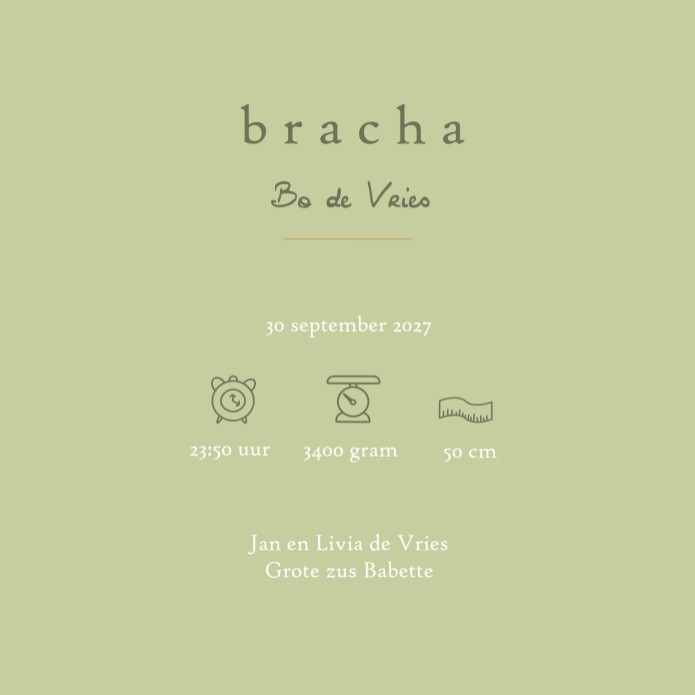 Uniek geboortekaartje met dieren uit het bos. Prachtige met de hand getekende illustraties in warme ton sur ton tonen. De kleuren matchen prachtig met elkaar en zorgt voor een sereen illustratief geboortekaartje. Een bosdieren geboortekaartje waar je als 