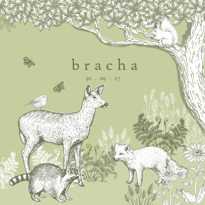 Geboortekaartje lief bos thema